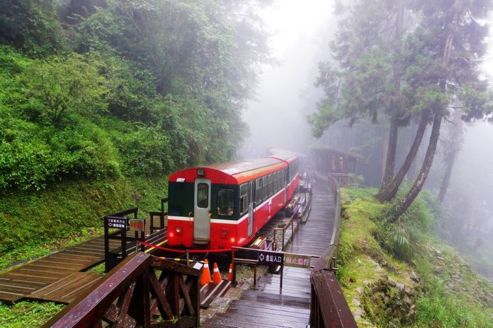 Alishan Forest Railway taiwan (1)