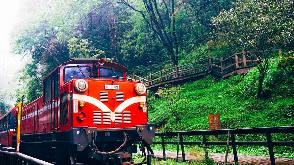 Alishan Forest Railway taiwan (1)