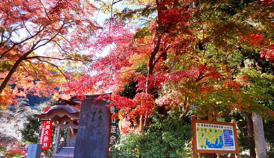 151029122312-tokyo-fall-leaves-mount-takao