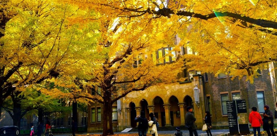 Autumn-leaves-at-the-Hongo-Campus-of-Tokyo-University-1020x500