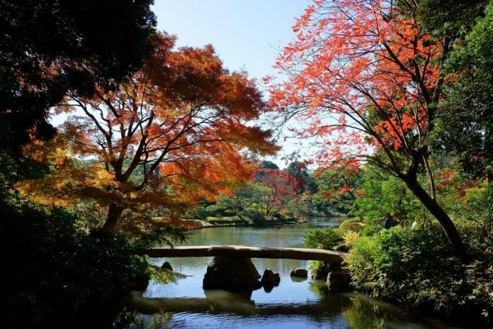 Tokyo autumn leaves forecast 2021 — 13 best autumn spots in Tokyo ...