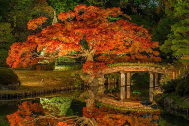 Tokyo autumn leaves forecast 2021 — 13 best autumn spots in Tokyo