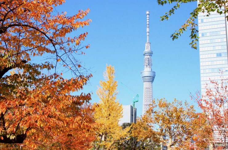 ,best autumn spots in tokyo,best place to see autumn leaves in tokyo