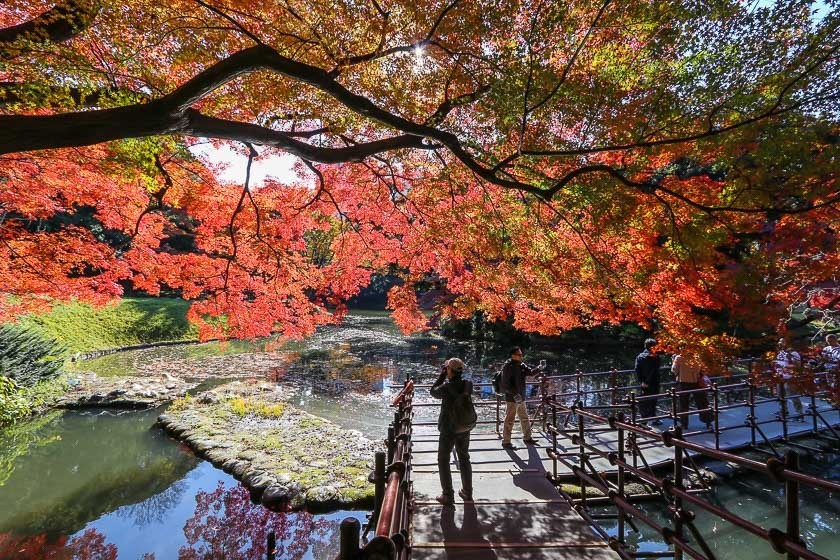 ,best autumn spots in tokyo,best place to see autumn leaves in tokyo,where to view autumn leaves in tokyo (1)
