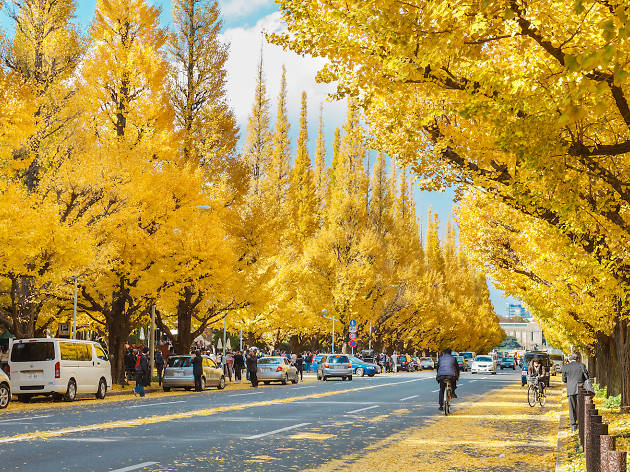 ,best autumn spots in tokyo,best place to see autumn leaves in tokyo,where to view autumn leaves in tokyo (6)