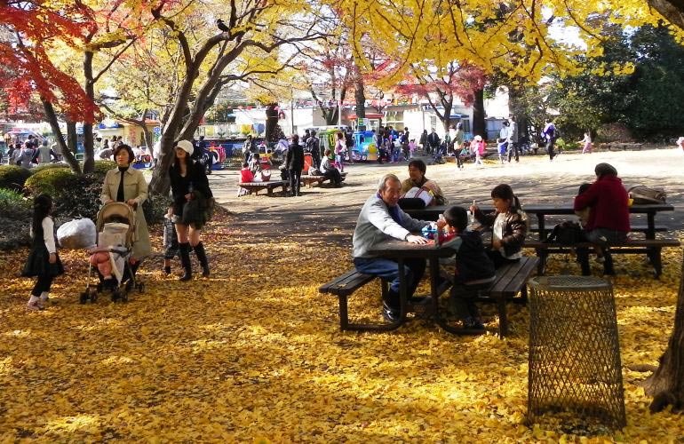 Inokashira Park tokyo autumn (1)
