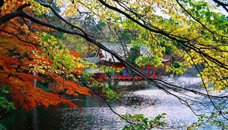Inokashira Park tokyo autumn (1)