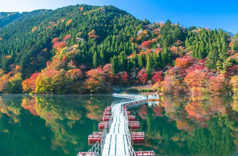 Lake Okutama autumn (1)