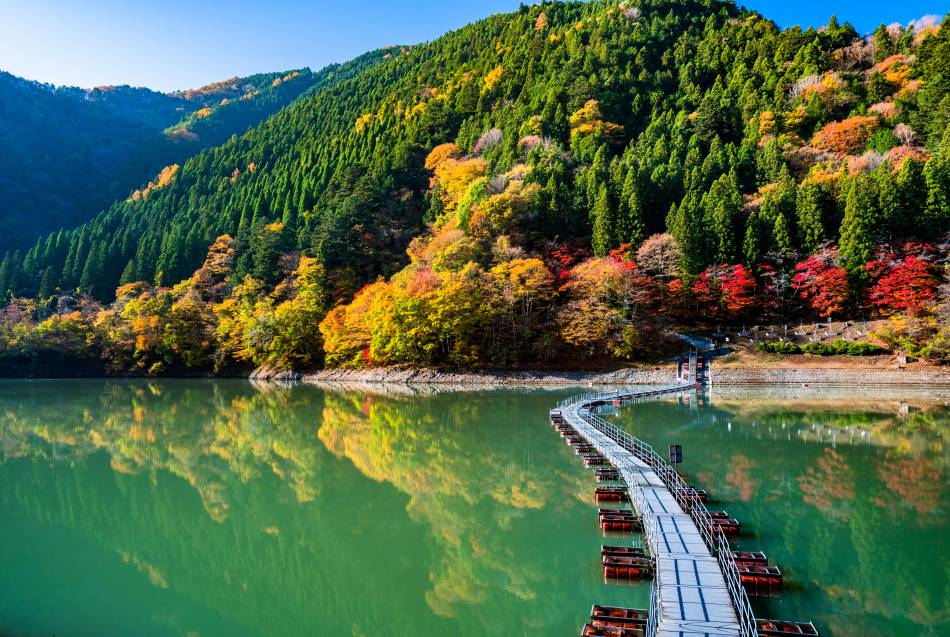 Lake Okutama autumn (1)