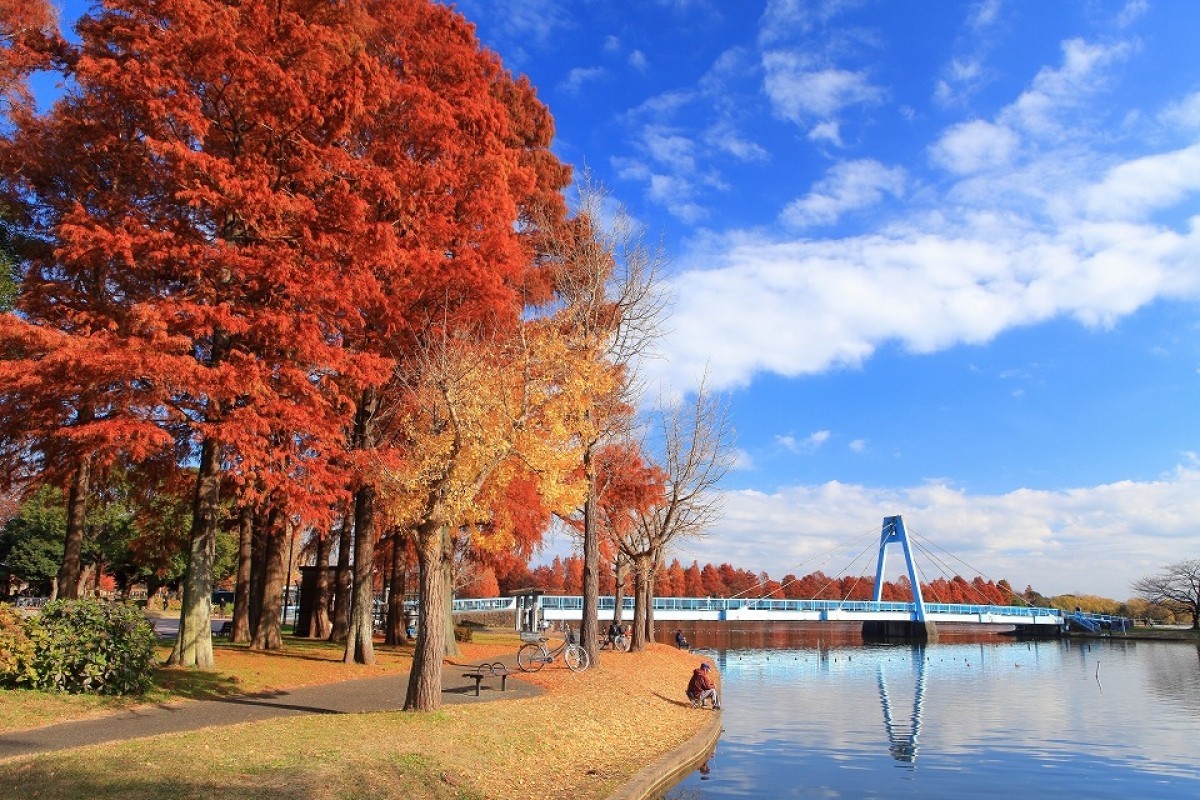 Mizumoto Park autumn (1)