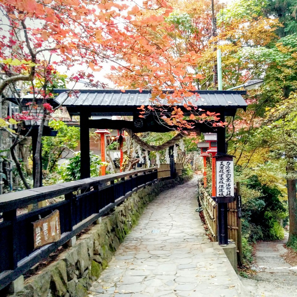Mount Mitake (Mitakesan) tokyo autumn (8)