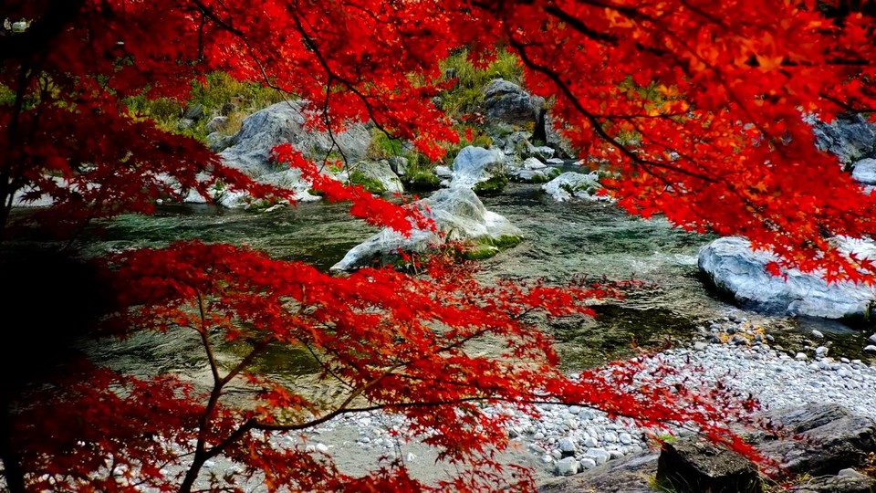 Mount Mitake (Mitakesan) tokyo autumn (8)