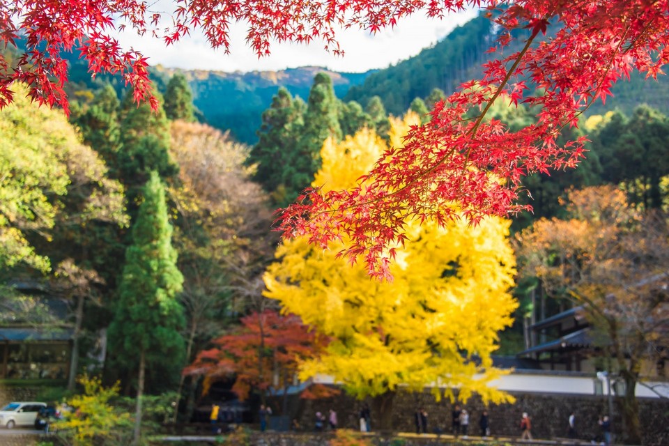 Mount Mitake (Mitakesan) tokyo autumn (1)