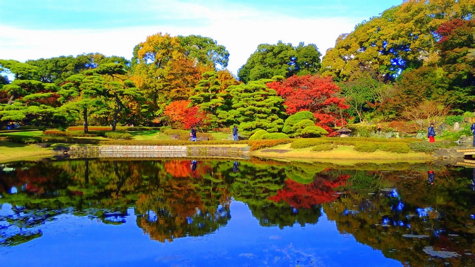 Ninomaru Garden,imperial east gardens autumn tokyo (1)