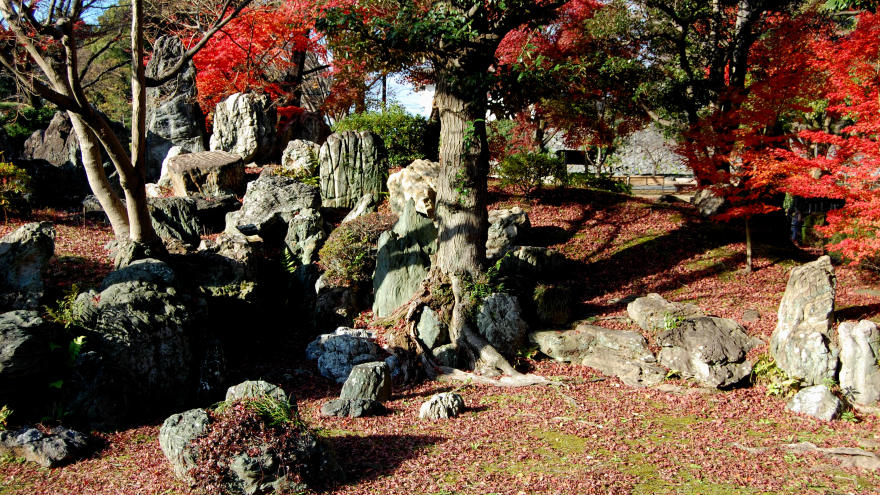 Ninomaru Garden,imperial east gardens autumn tokyo (1)