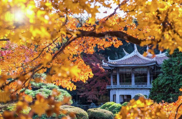 Shinjuku Gyoen Park Autumn Tokyo 6 Living Nomads Travel Tips Guides News And Information