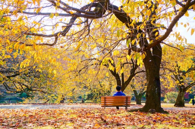 Tokyo autumn leaves forecast 2020 — 13 best autumn spots in Tokyo