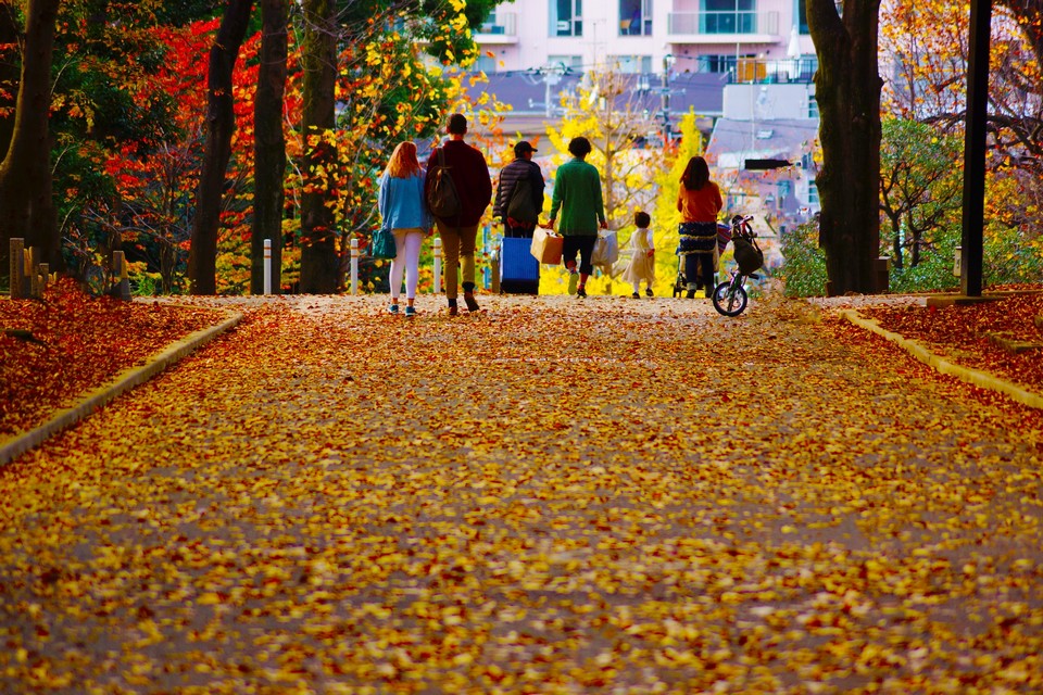 Yoyogi Koen (Yoyogi Park) autumn (4)