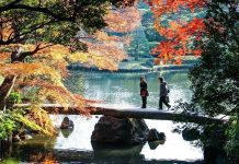 best autumn foliage in tokyo