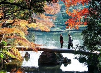 best autumn foliage in tokyo