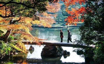 best autumn foliage in tokyo