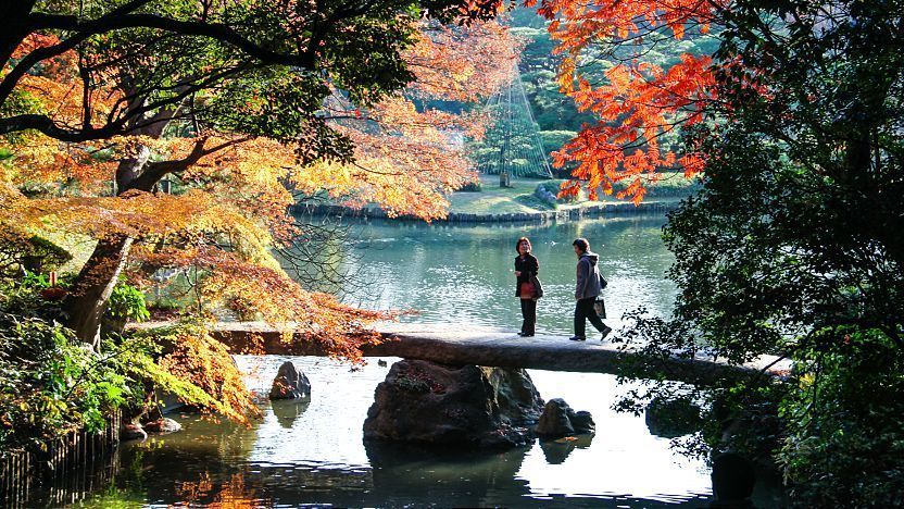 best autumn foliage in tokyo