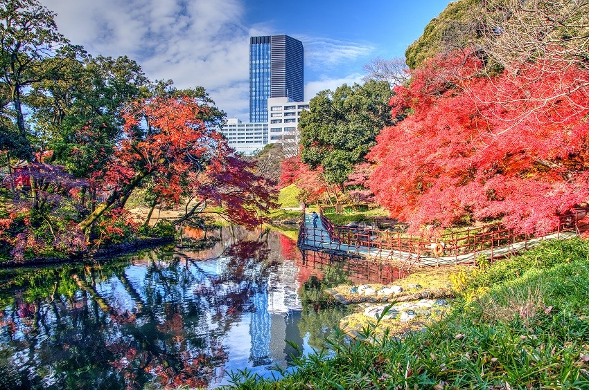 koishikawa korakuen garden autumn (1)