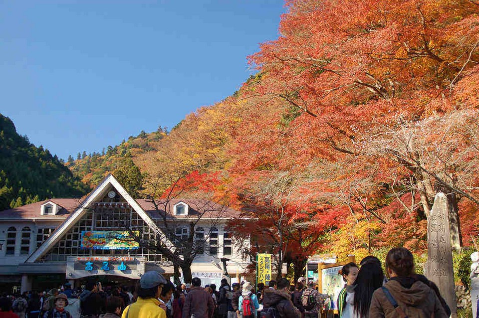 mount takao autumn fall takaosan (3)