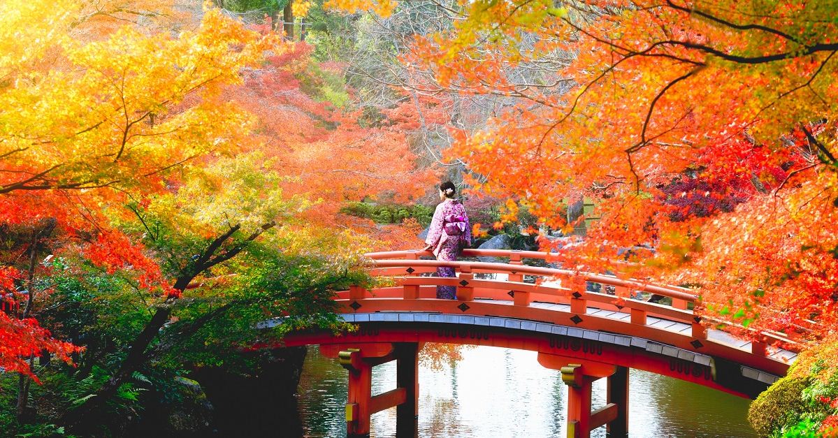 1best place to see autumn leaves in japan,best autumn spots in japan