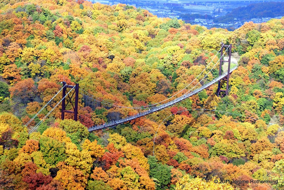 Hoshi no Buranko Bridge autumn (3)