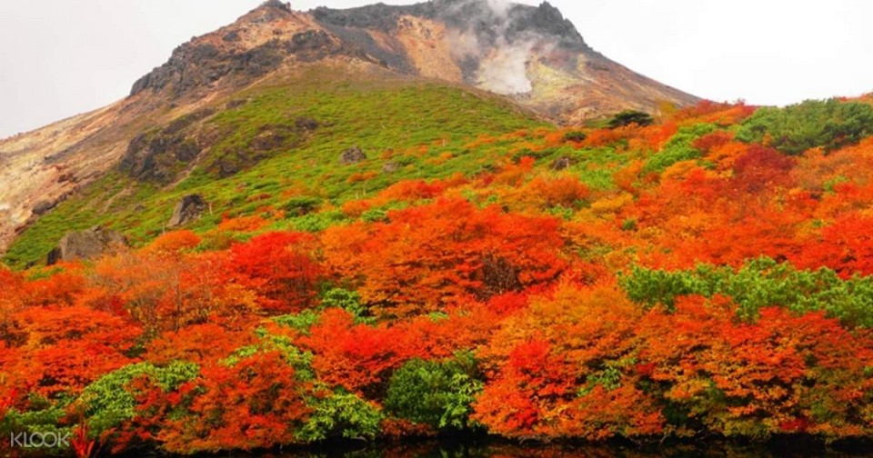 Mt. Jeans Nasu autumn (1)