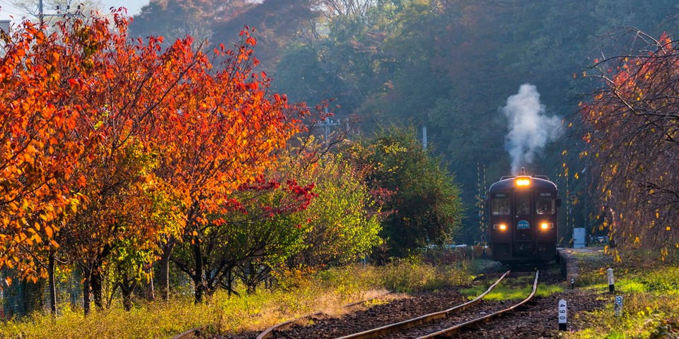 Watarase Keikoku Railway autumn (1)