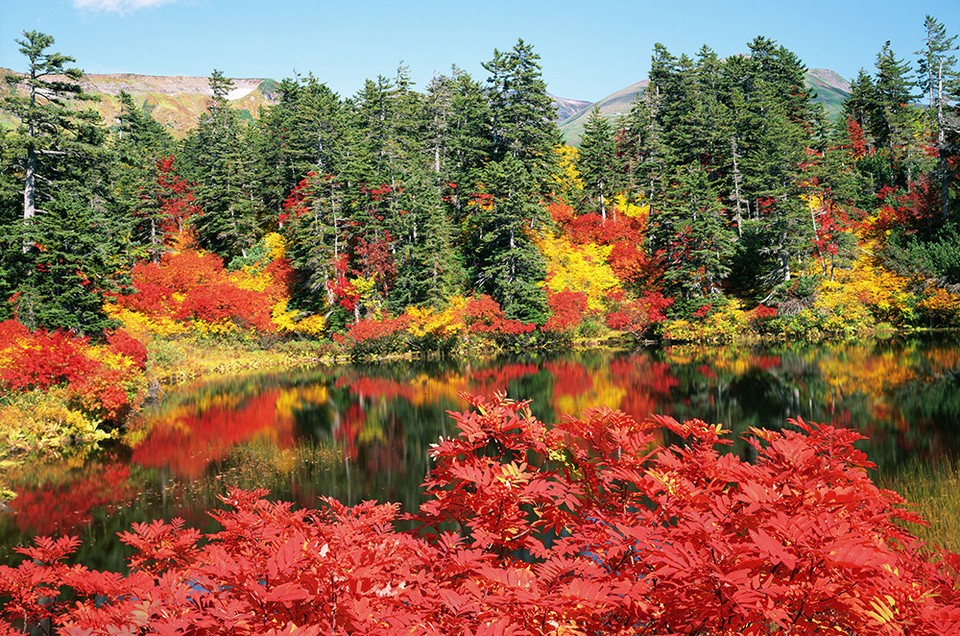 Daisetsuzan National Park autumn (1)