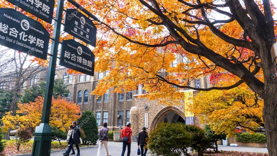 Hokkaido University autumn (2)