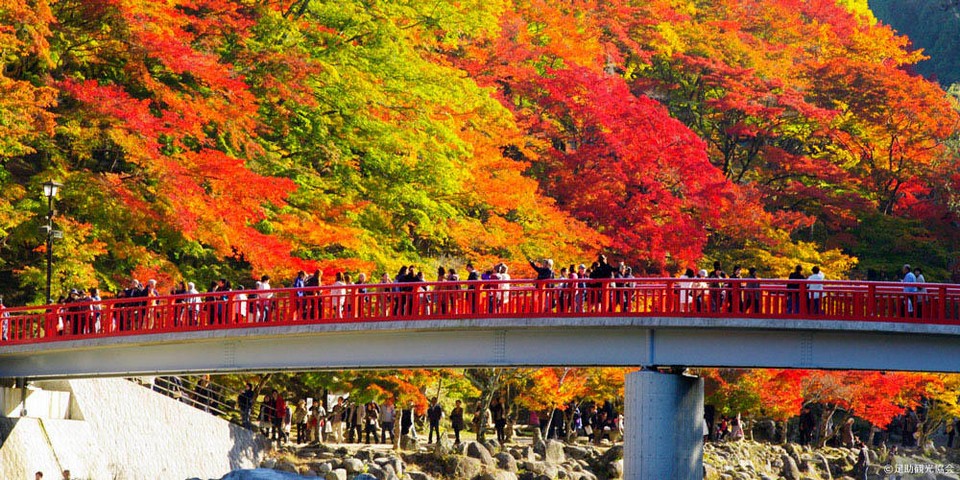 Korankei Valley autumn (1)