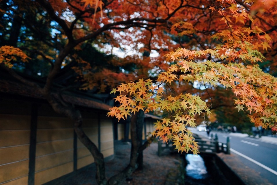 Koyasan autumn (1)