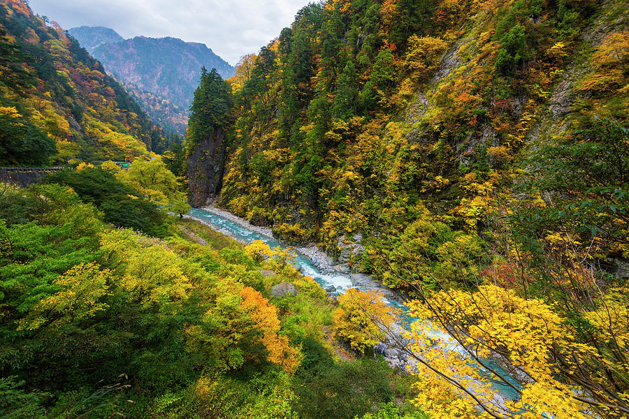 Kurobe Gorge autumn (1)