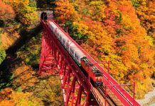 Kurobe Gorge autumn (1)