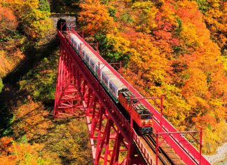 Kurobe Gorge autumn (1)