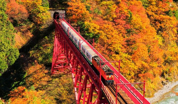 Kurobe Gorge autumn (1)