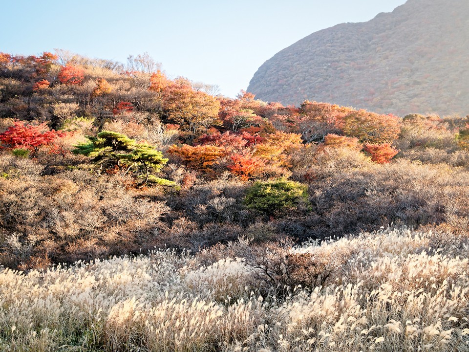 Mount Kuju autumn (2)