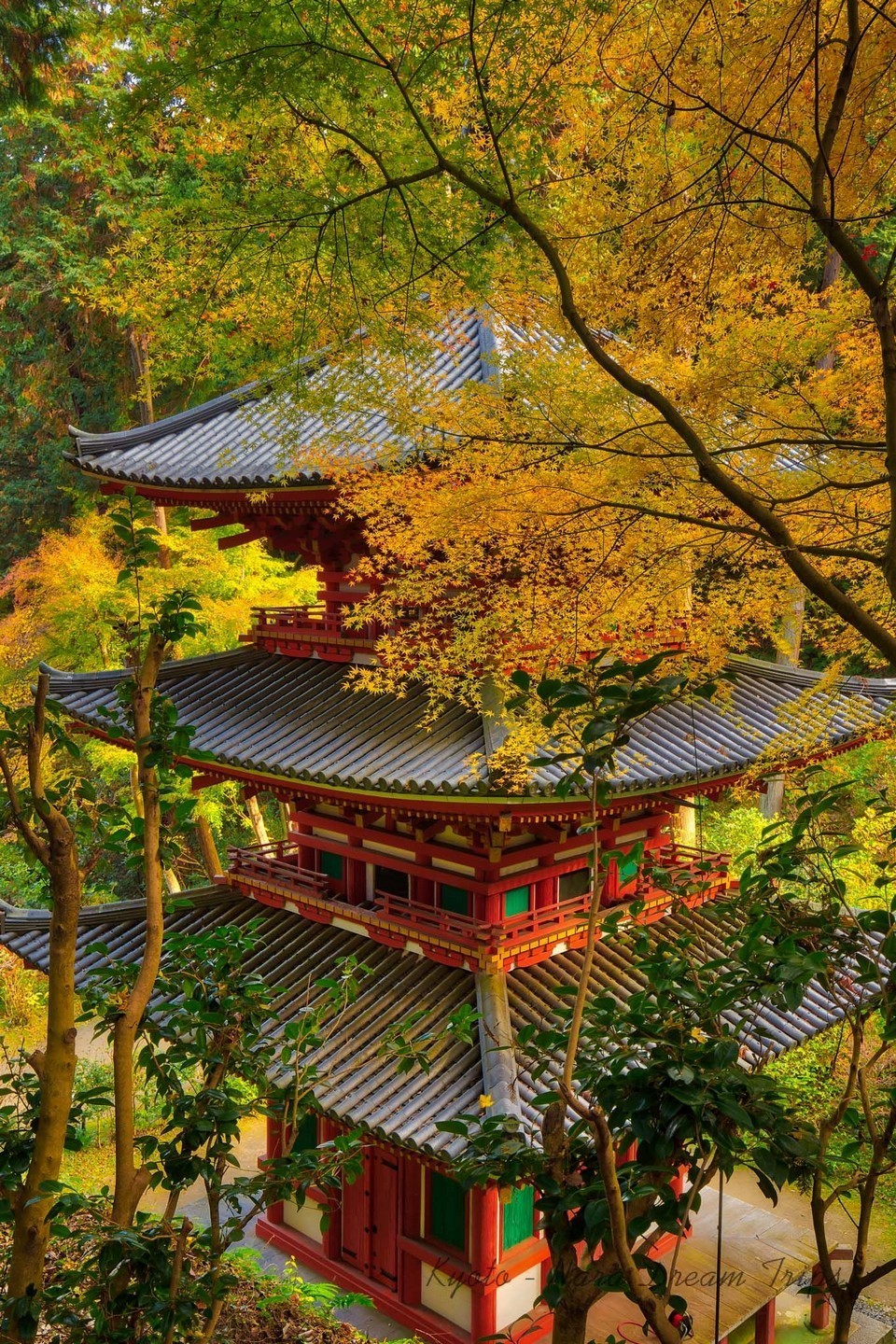 Nara japan autumn (1)
