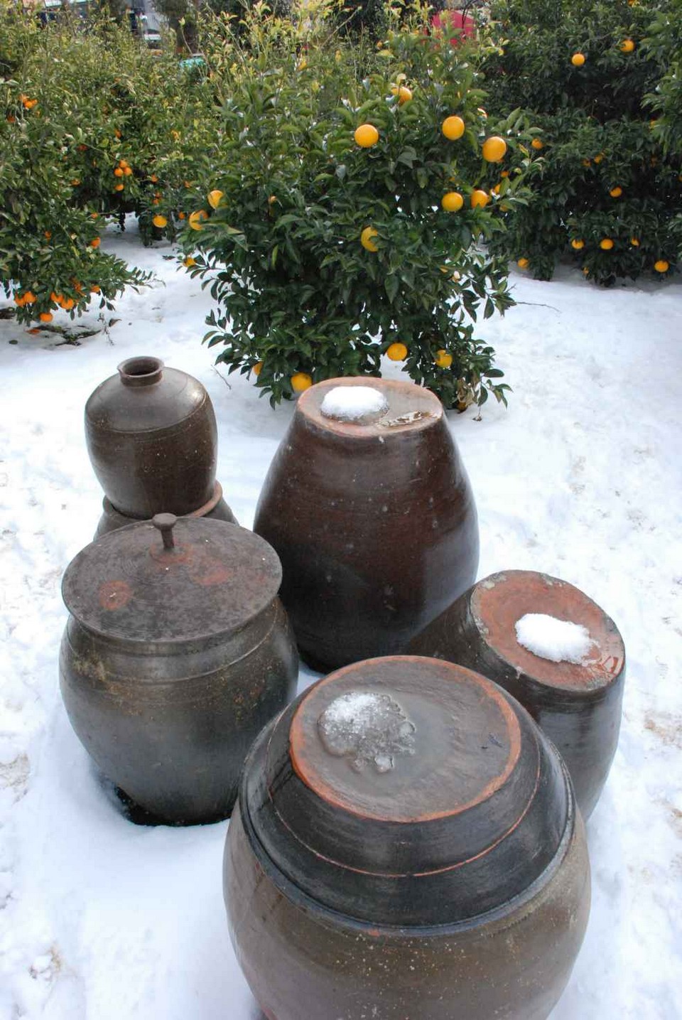 Jeju Island pottery (1)