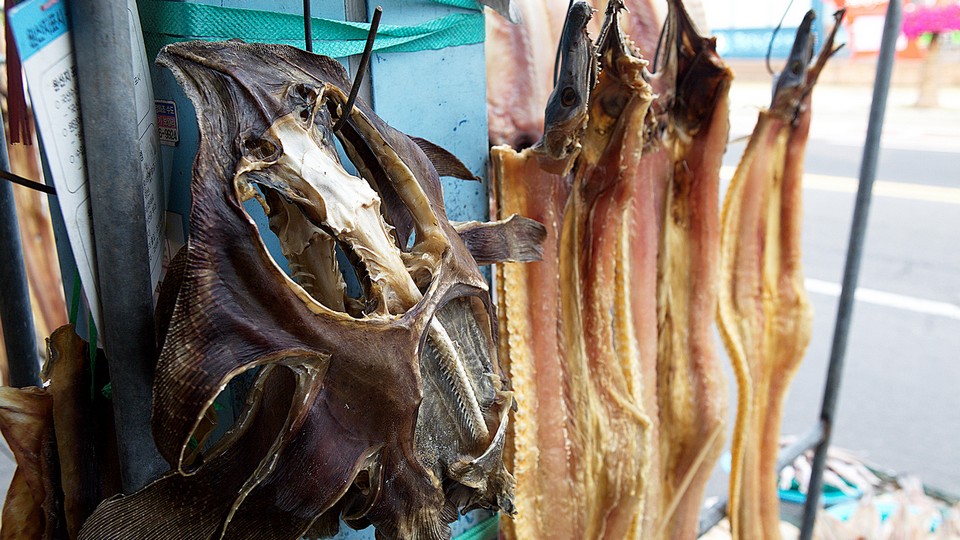 dried seafood jeju must buy, must buy in jeju (3)