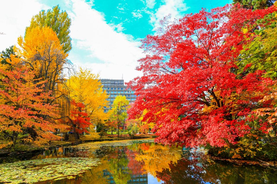 Hokkaido travel blog autumn Things to do in Hokkaido in autumn and best places to visit in Hokkaido during autumn1