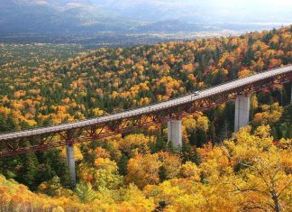 hokkaido travel blog autumn,places to visit in hokkaido during autumn,hokkaido fall foliage,hokkaido autumn leaves (4)