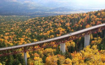 Hokkaido Fall Foliage 2025 Forecast — 15+ top things to do & best places to visit in Hokkaido during autumn hokkaido travel blog autumn,places to visit in hokkaido during autumn,hokkaido fall foliage,hokkaido autumn leaves (4)