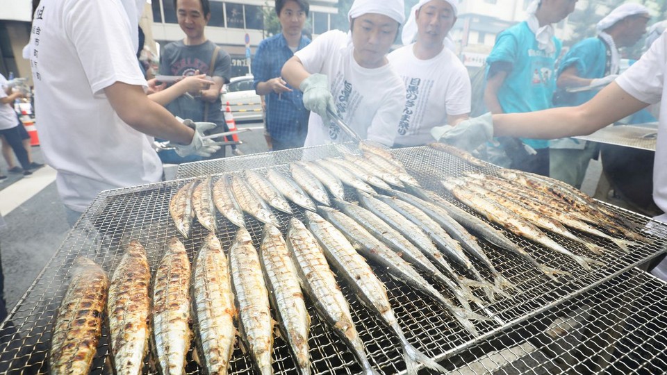 Sanma Nemuro Fish Festival (1)