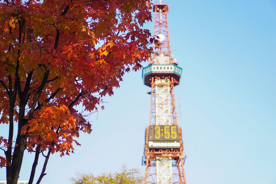 Sapporo TV tower autumn (1)