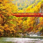 Hokkaido autumn travel blog — 15+ top things to do & best places to visit in Hokkaido during autumn